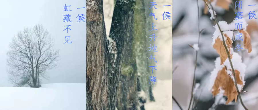 今日小雪，寒潮來(lái)襲，洗瓶機來(lái)幫你解放雙手吧！