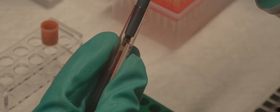 一起和喜瓶者洗瓶機看看什么是P4實(shí)驗室
